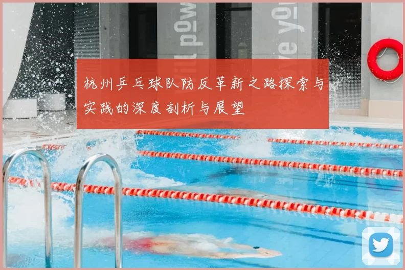 杭州乒乓球队防反革新之路探索与实践的深度剖析与展望