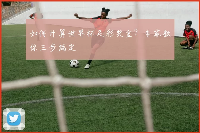 如何计算世界杯足彩奖金?专家教你三步搞定