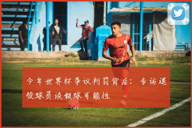 今年世界杯争议判罚背后:专访退役球员谈假球可能性