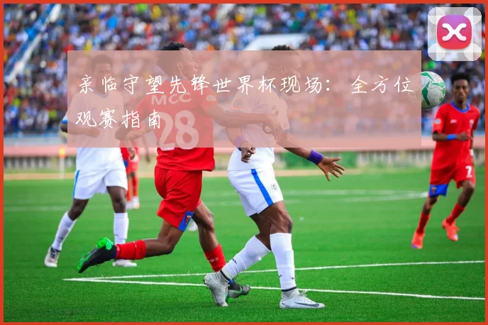 亲临守望先锋世界杯现场：全方位观赛指南
