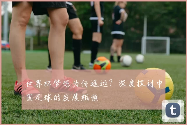 世界杯梦想为何遥远?深度探讨中国足球的发展瓶颈
