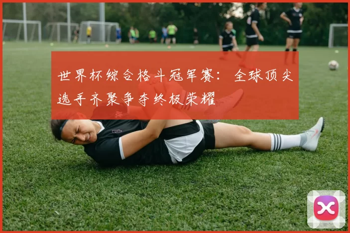 世界杯综合格斗冠军赛:全球顶尖选手齐聚争夺终极荣耀
