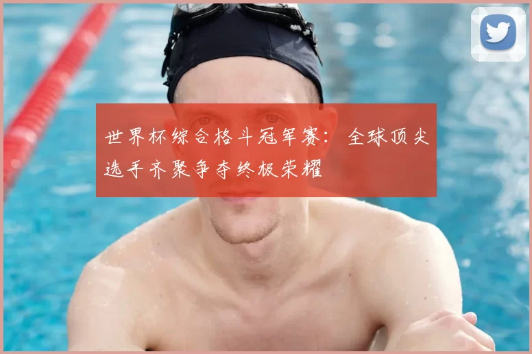 世界杯综合格斗冠军赛:全球顶尖选手齐聚争夺终极荣耀
