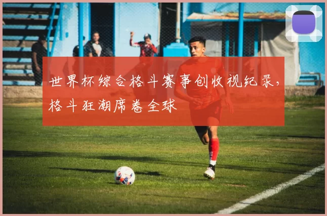 世界杯综合格斗赛事创收视纪录,格斗狂潮席卷全球