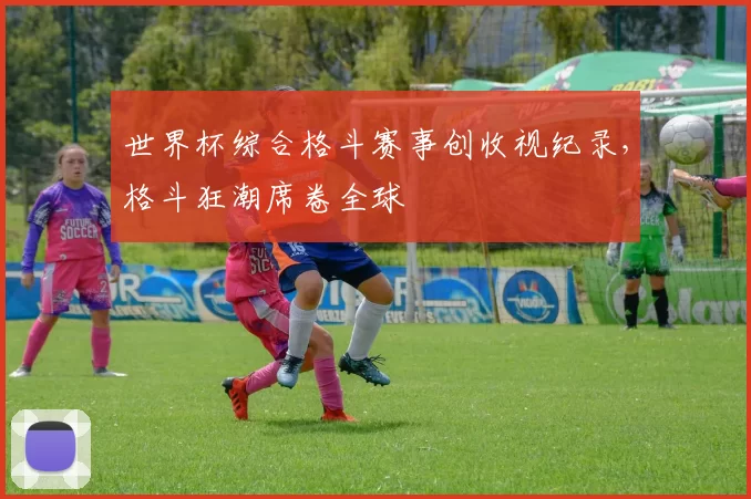 世界杯综合格斗赛事创收视纪录,格斗狂潮席卷全球