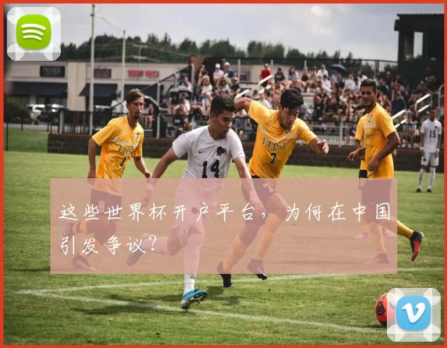 这些世界杯开户平台,为何在中国引发争议?