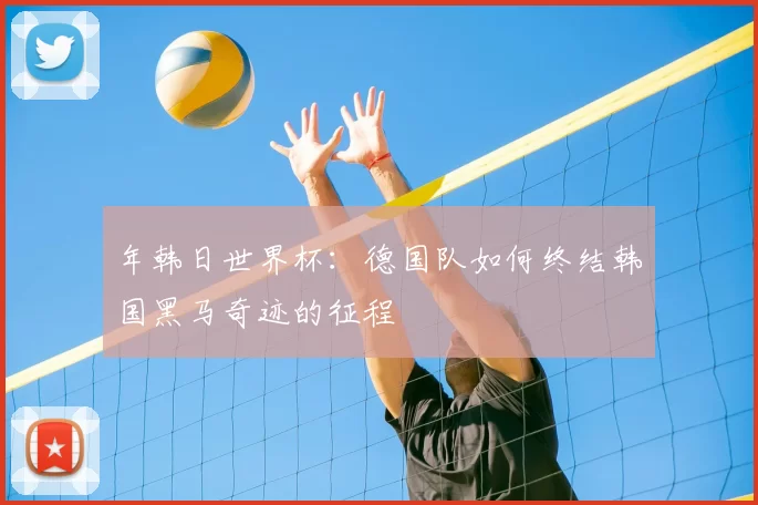 年韩日世界杯:德国队如何终结韩国黑马奇迹的征程