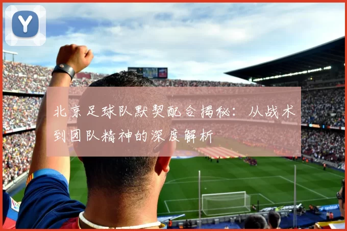 北京足球队默契配合揭秘:从战术到团队精神的深度解析
