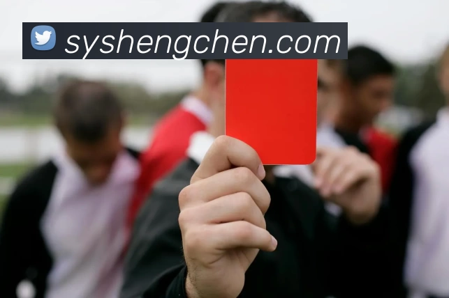 未来规划